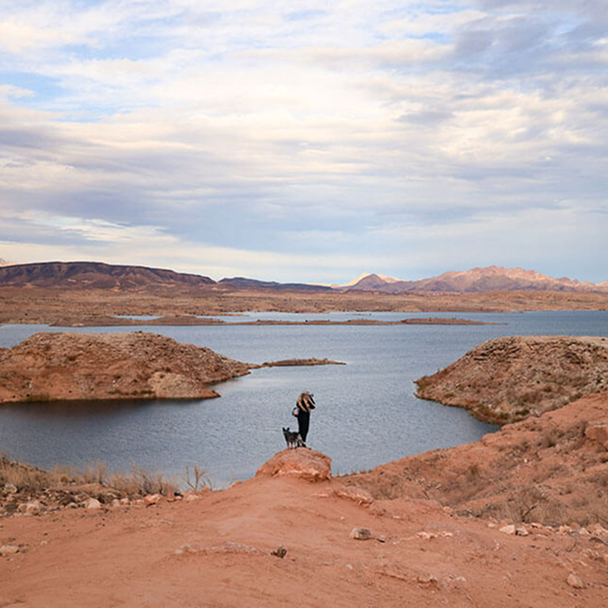 Person and a dog looking over Lake mead.